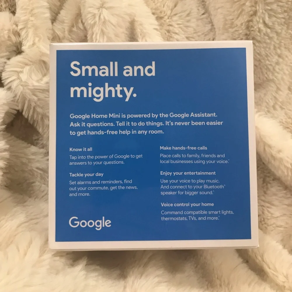 Google Home Mini Assistant